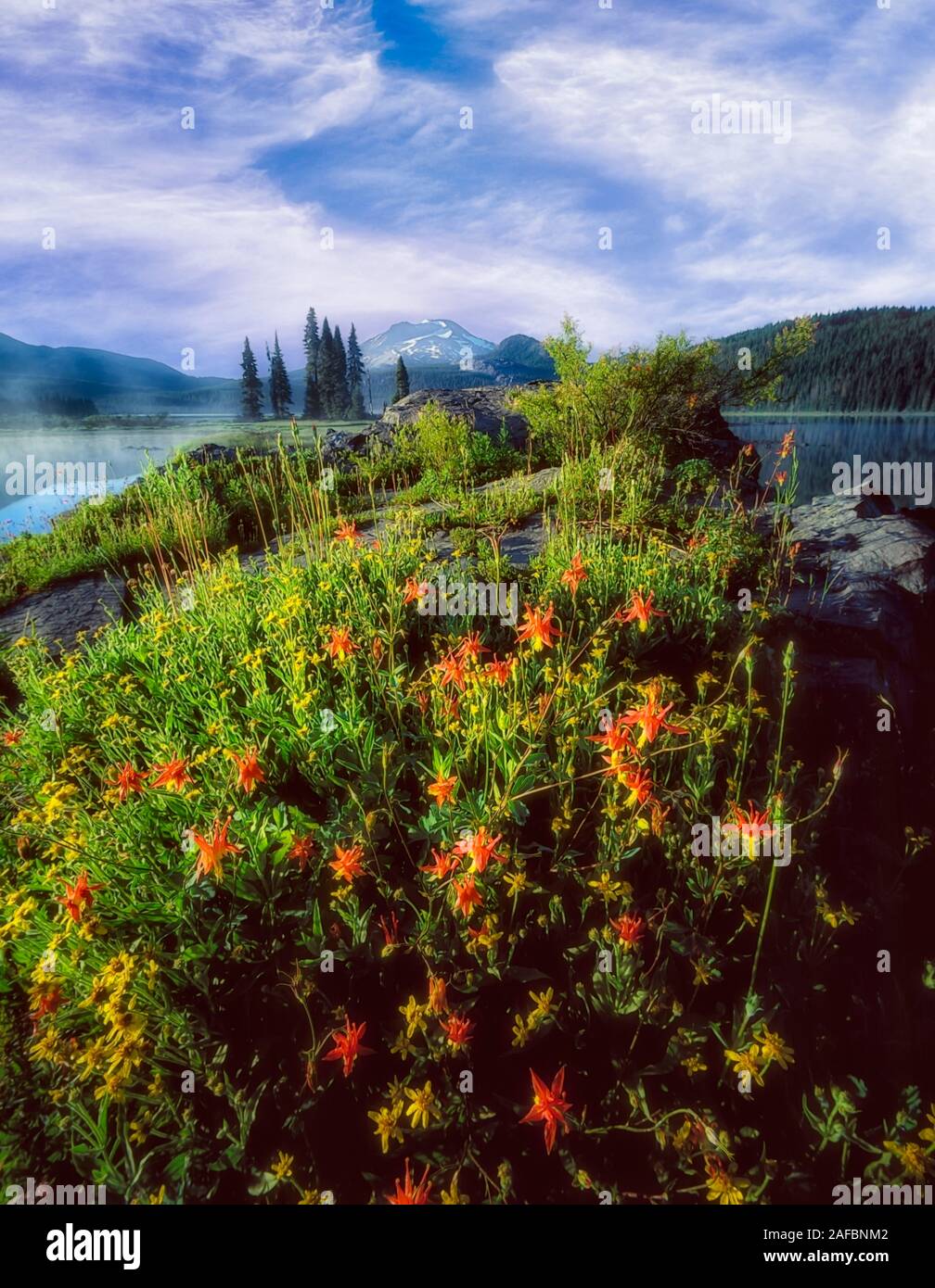 Funken Lake, South Schwester Berg und Wildblumen Stockfoto