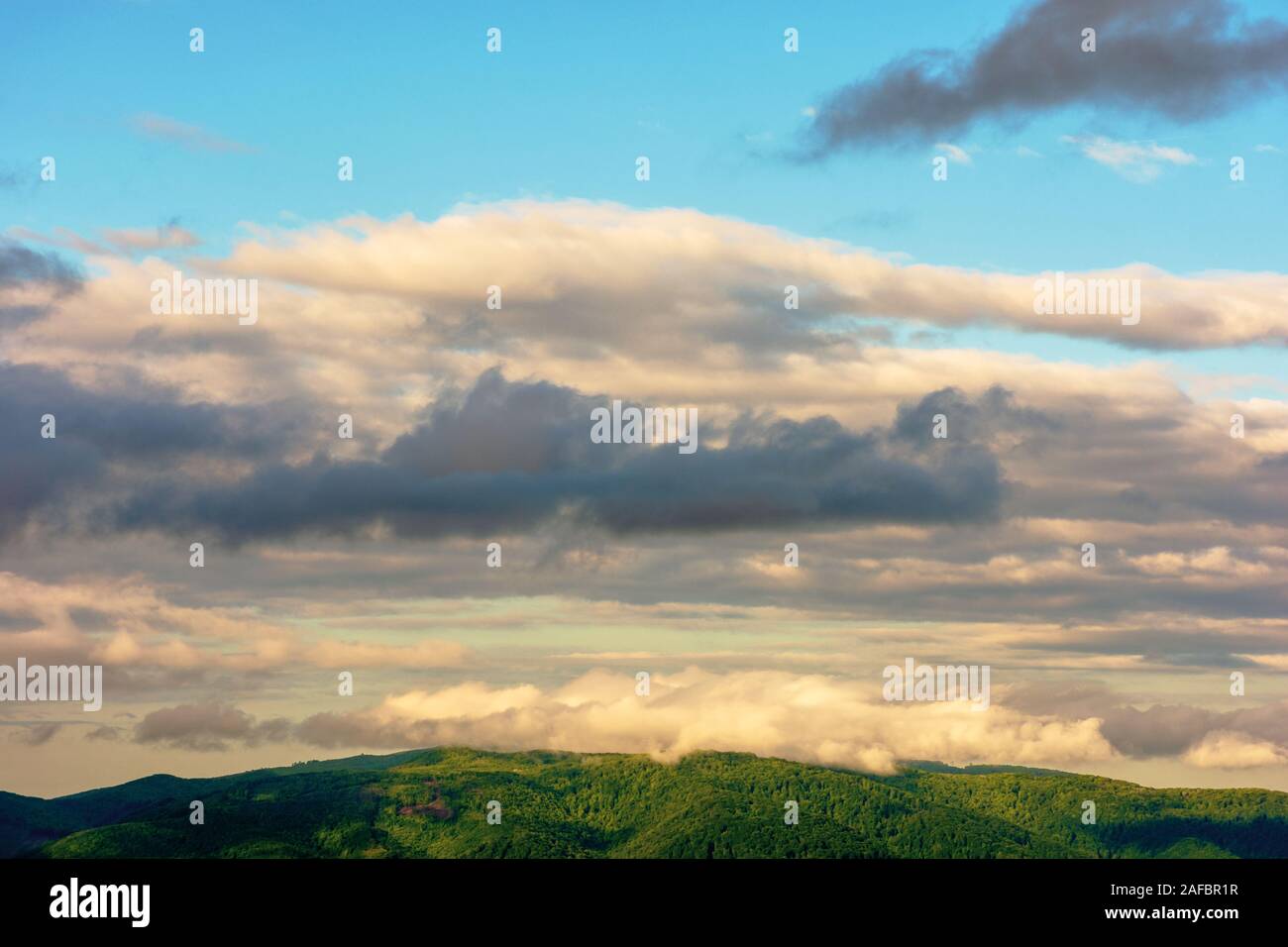 Wolken steigen über die Hügel. bergige Landschaft der Karpaten. Nebel aus dem grünen Wald, gleich nachdem es regnet. bewölkt windig Sunrise verdunsten Stockfoto