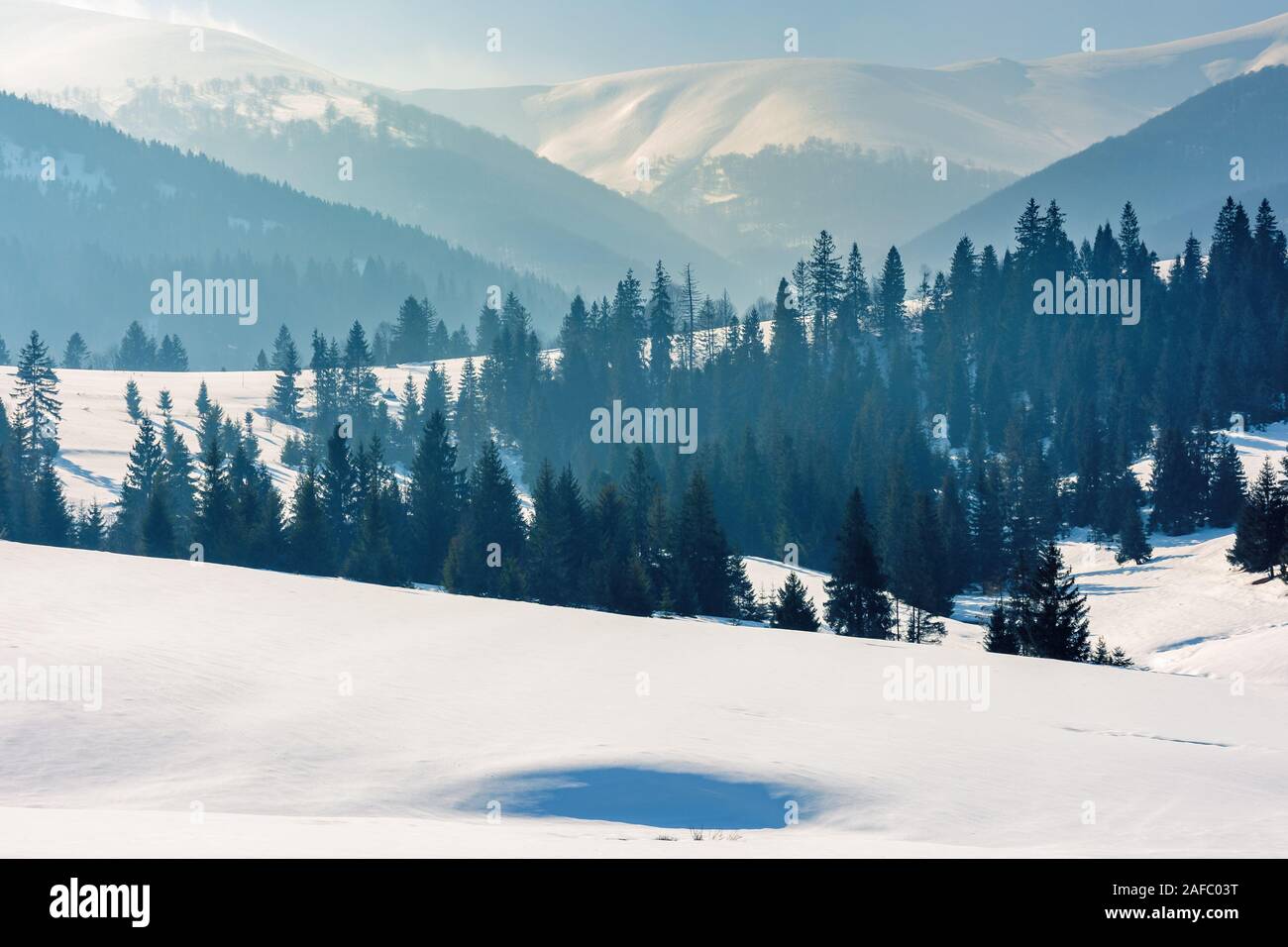 Bergige Landschaft im Winter. Wunderschöne Landschaft auf einem hellen, sonnigen Tag. Wald auf Schnee rollenden Hügeln Fichte. wunderschöne Landschaft des borzhav Stockfoto