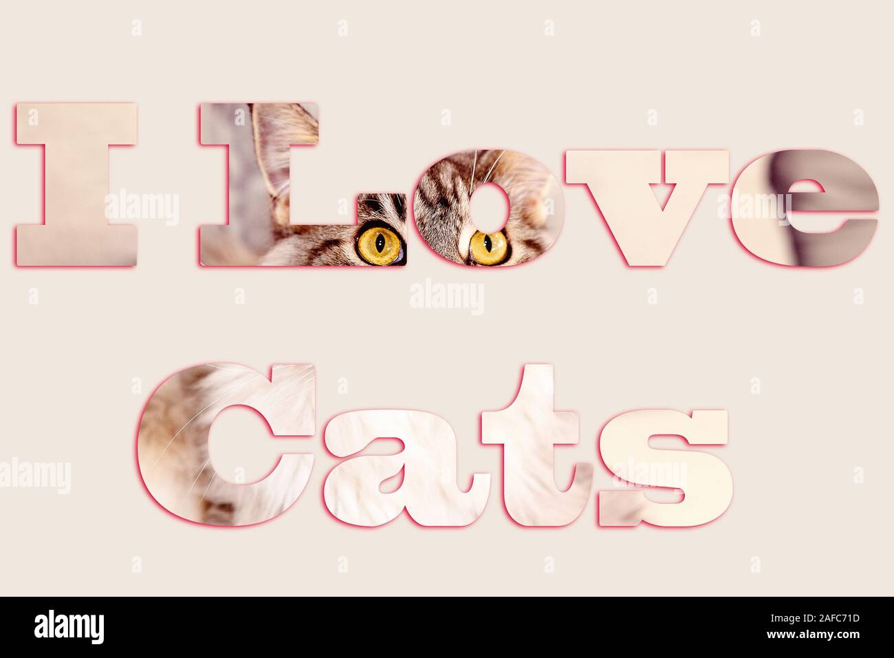 Ich liebe Katzen - Text mit Bild einer Katze, die Buchstaben, für Web, Print geeignet, professionellen oder persönlichen Gebrauch Stockfoto