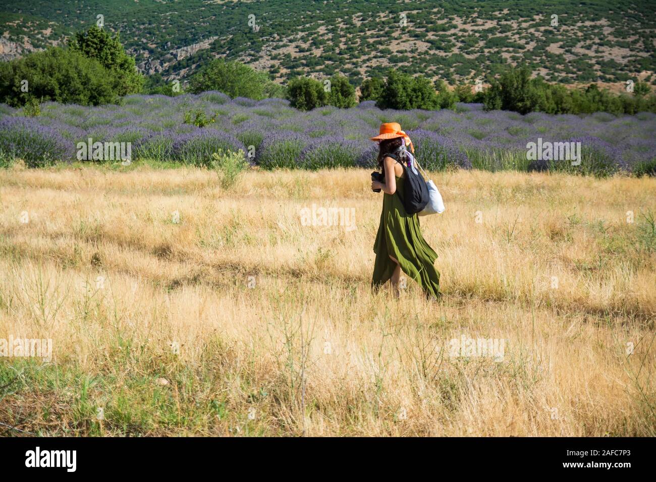 Der Fotograf, der sich durch die Felder und die WANDERTE Stockfoto