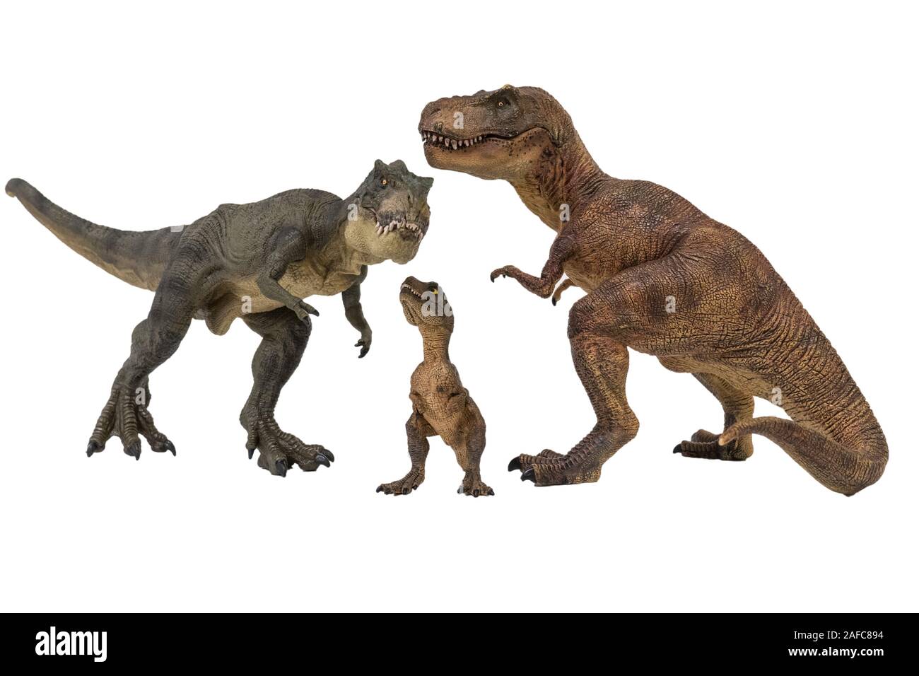 Familie mit Baby von Tyrannosaurus rex Tyrannosaurus rex auf weißem Hintergrund. Familienkonzept, schöne Dinosaurier Stockfoto