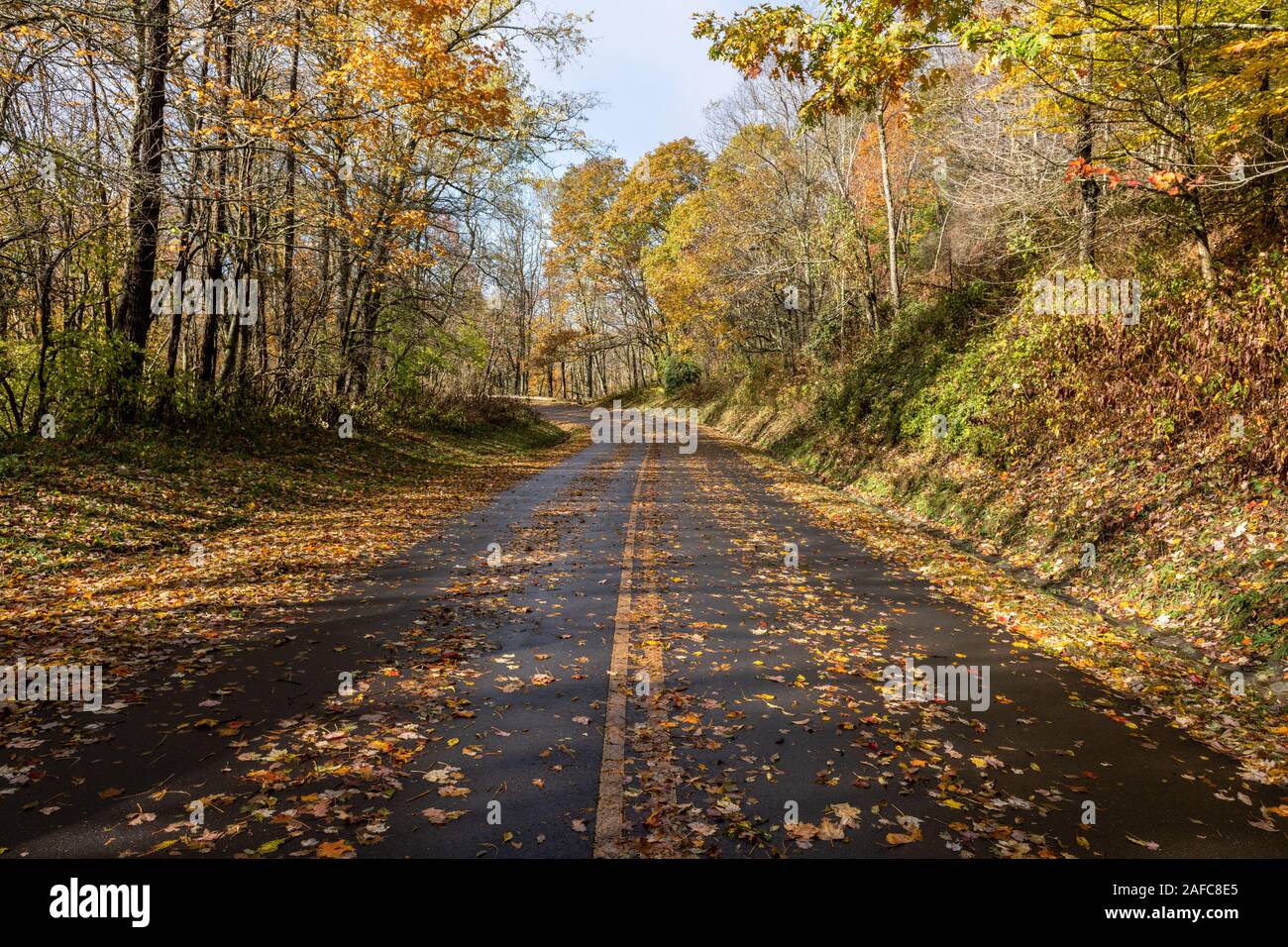 Herbst Straße in der Great Smoky Mountains National Park mit bunten Blättern der Appalachian Herbst Farbe. Stockfoto