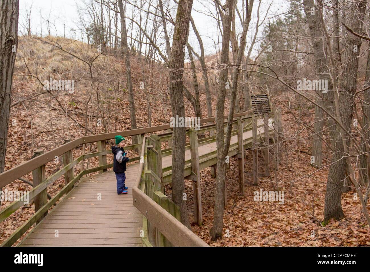 Indiana Dunes Staat und Nationalpark im Herbst Stockfoto