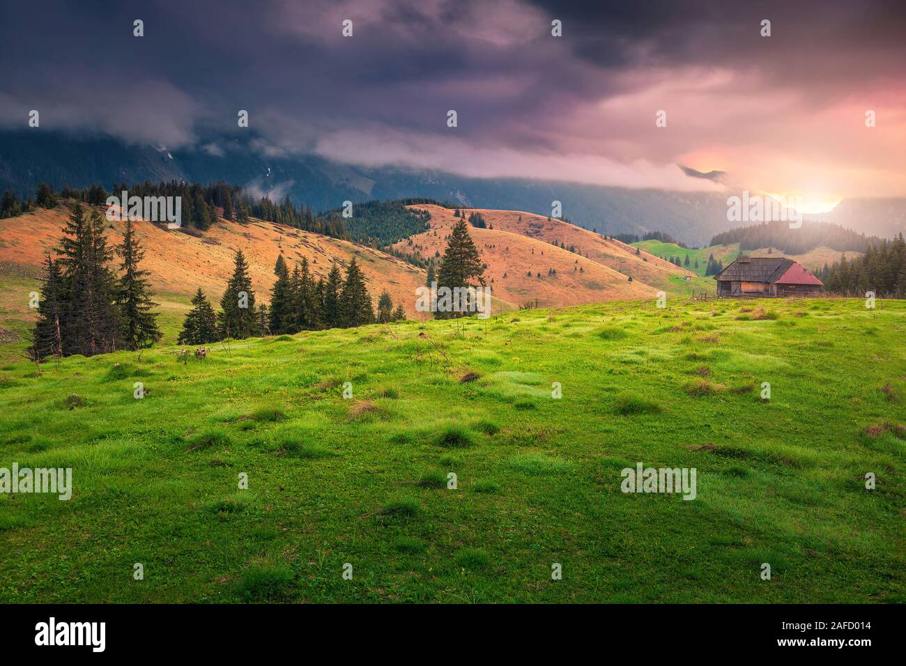 Bewundernswert alpine ländliche Lage mit grüne Felder und hohe misty Piatra Craiului Berge bei Sonnenuntergang, Pestera Dorf, Siebenbürgen, Rumänien, Europa Stockfoto