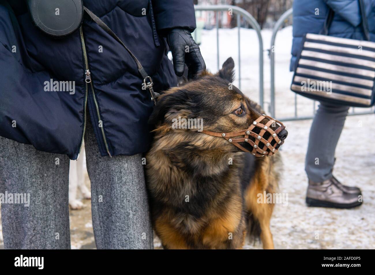 Angst Hund in Schnauze schmiegt sich zu hip Outdoor des Eigentümers Stockfoto