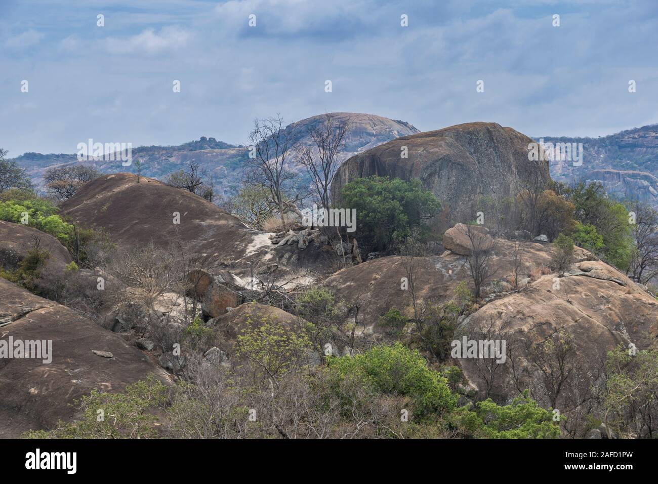 Simbabwe. Matobo Nationalpark, ein UNESCO-Weltkulturerbe, bekannt für seine unverwechselbaren Granit "Kopje" (Felshügel) und viele Bäume und Pflanzen. Stockfoto