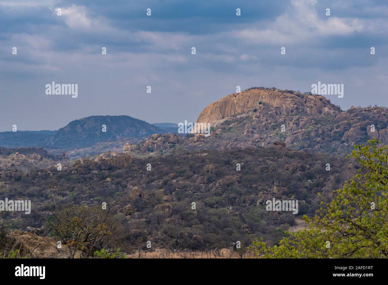 Simbabwe. Matobo Nationalpark, ein UNESCO-Weltkulturerbe, bekannt für seine unverwechselbaren Granit "Kopje" (Felshügel) und viele Bäume und Pflanzen. Stockfoto