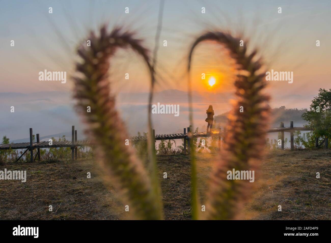 Silhouette den Sonnenaufgang mit einem Holz- Skywalk, der Nebel, die schönen Himmel und Wolken im Phu Lam Duan Berg, Pak Chom Bezirk, Provinz Loei, Thailan Stockfoto