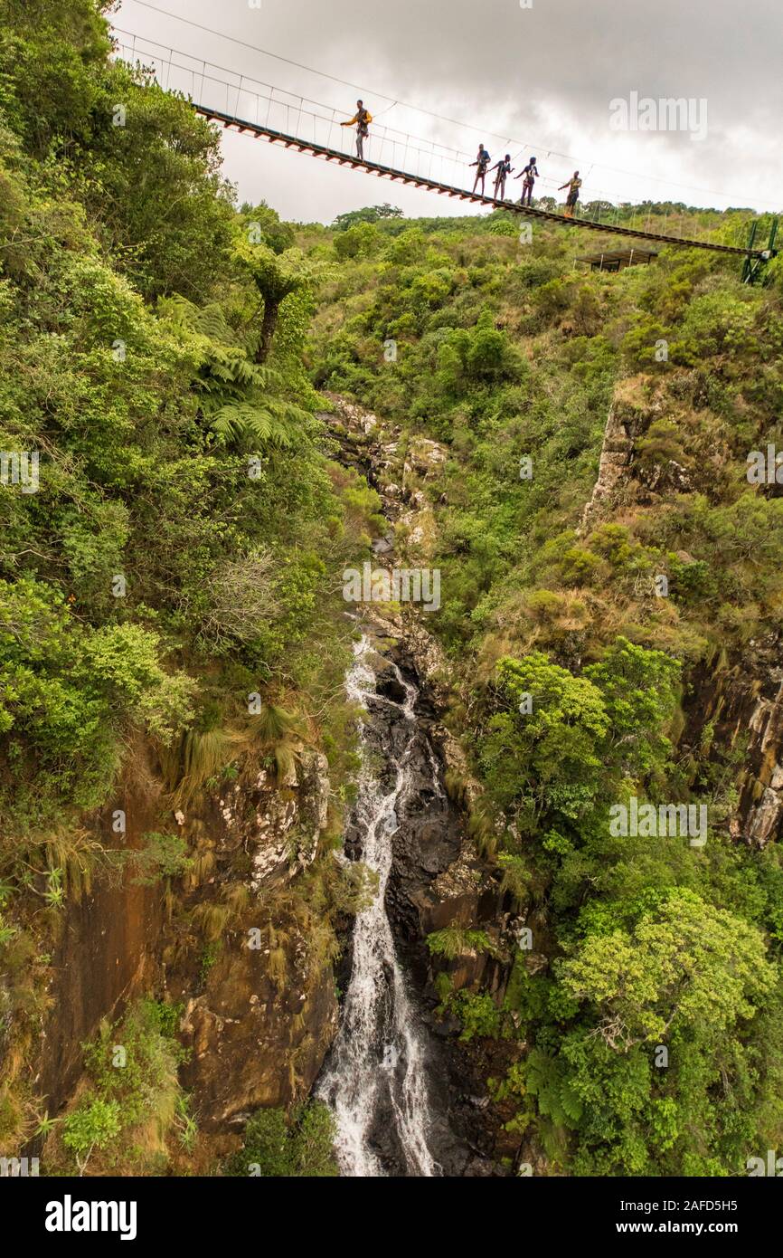 Nyanga Mountains, Simbabwe. Menschen, die auf dem "Skywalk" spazieren gehen - eine Brücke über die Mutarazi Falls, der zweithöchste fällt in Afrika. Die Brücke liegt etwa 600 Meter (knapp 2000 Fuß) über dem Boden des Honde-Tals Stockfoto