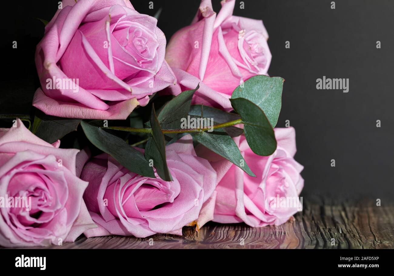 Schöne rosa Rosen und Blätter auf schwarzem Hintergrund Stockfoto