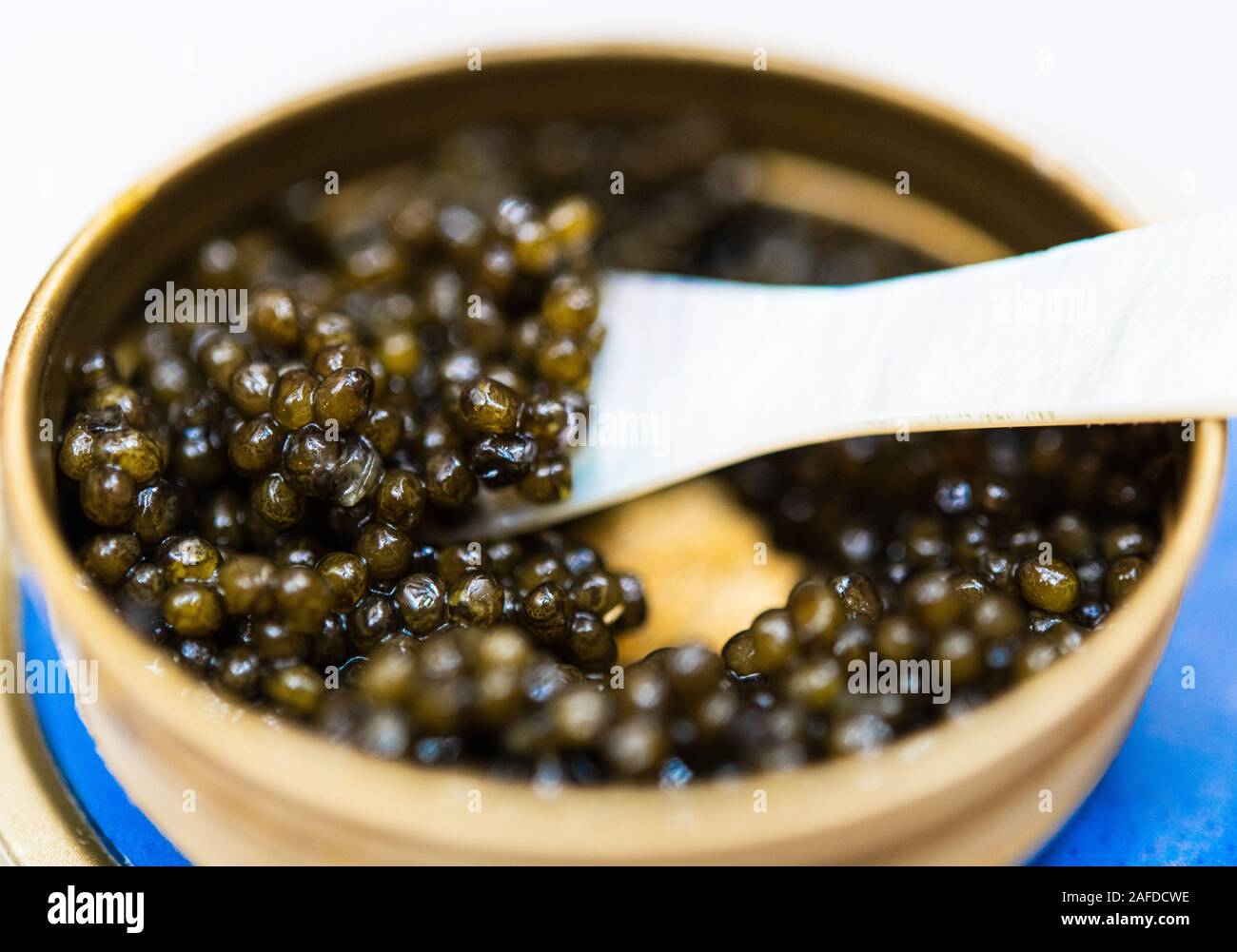 Makro extreme Nahaufnahme von schwarzen Stör-kaviar mit Löffel in der Schüssel Stockfoto