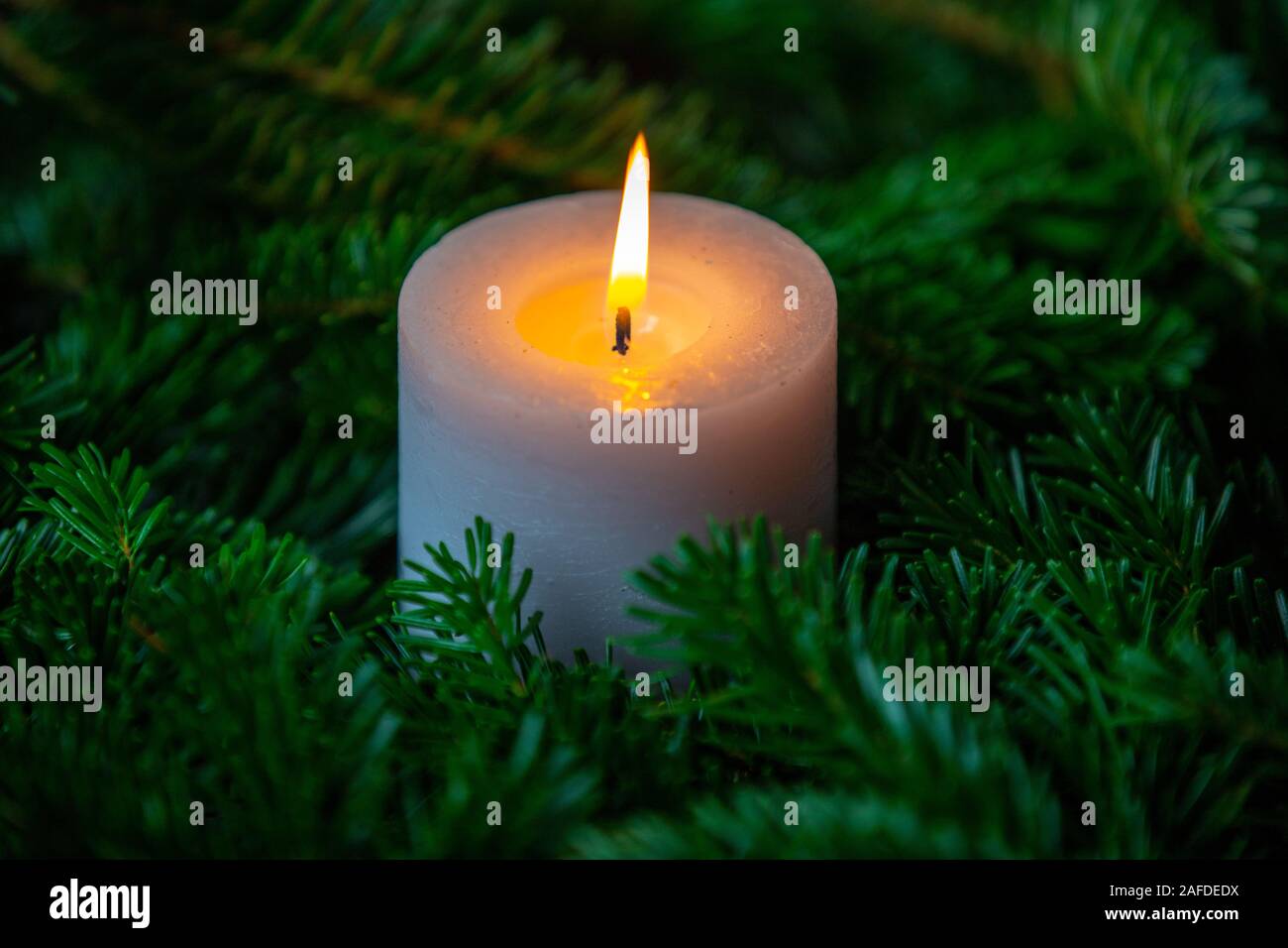 Weihnachtsmotiv, Tapeten mit weißen brennende Kerze von nordmanntanne  Zweigen umgeben Stockfotografie - Alamy