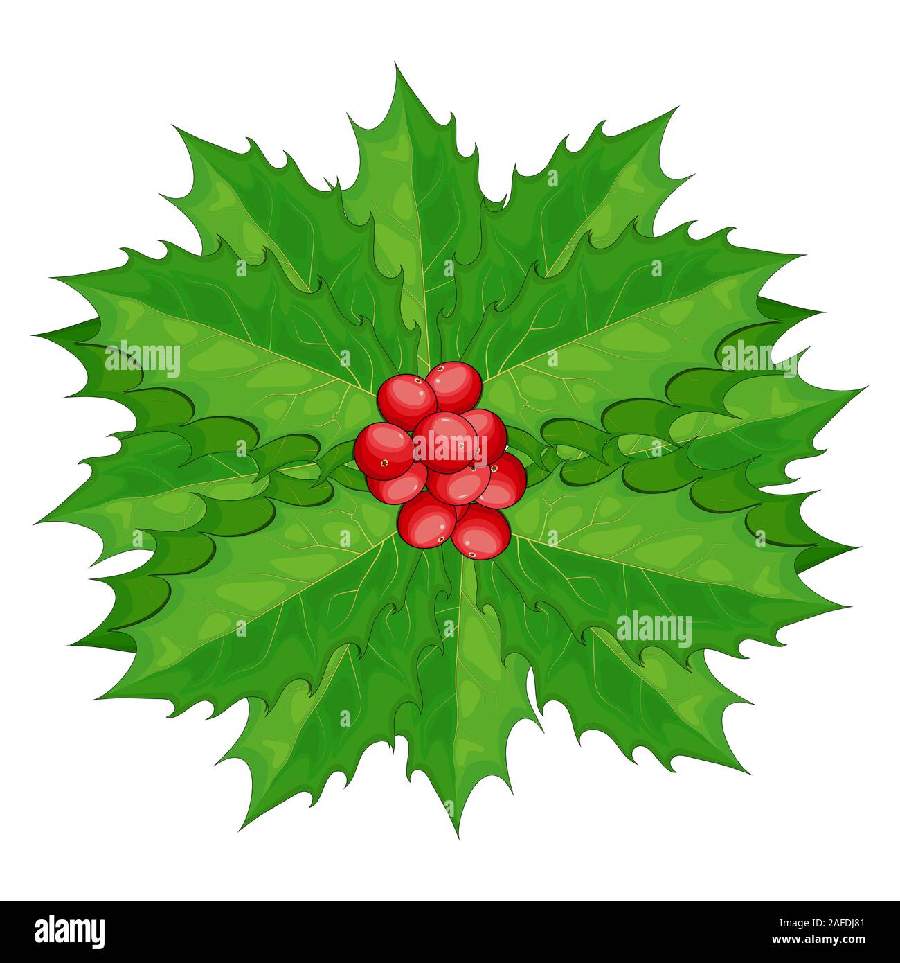 Stechpalme Beeren mit grünen Blättern Vektor-illustration isoliert auf einem weißen Hintergrund. Ilex Beeren. Auf Zweig mit Blatt. Twig von Weihnachten Mistel bunc Stock Vektor