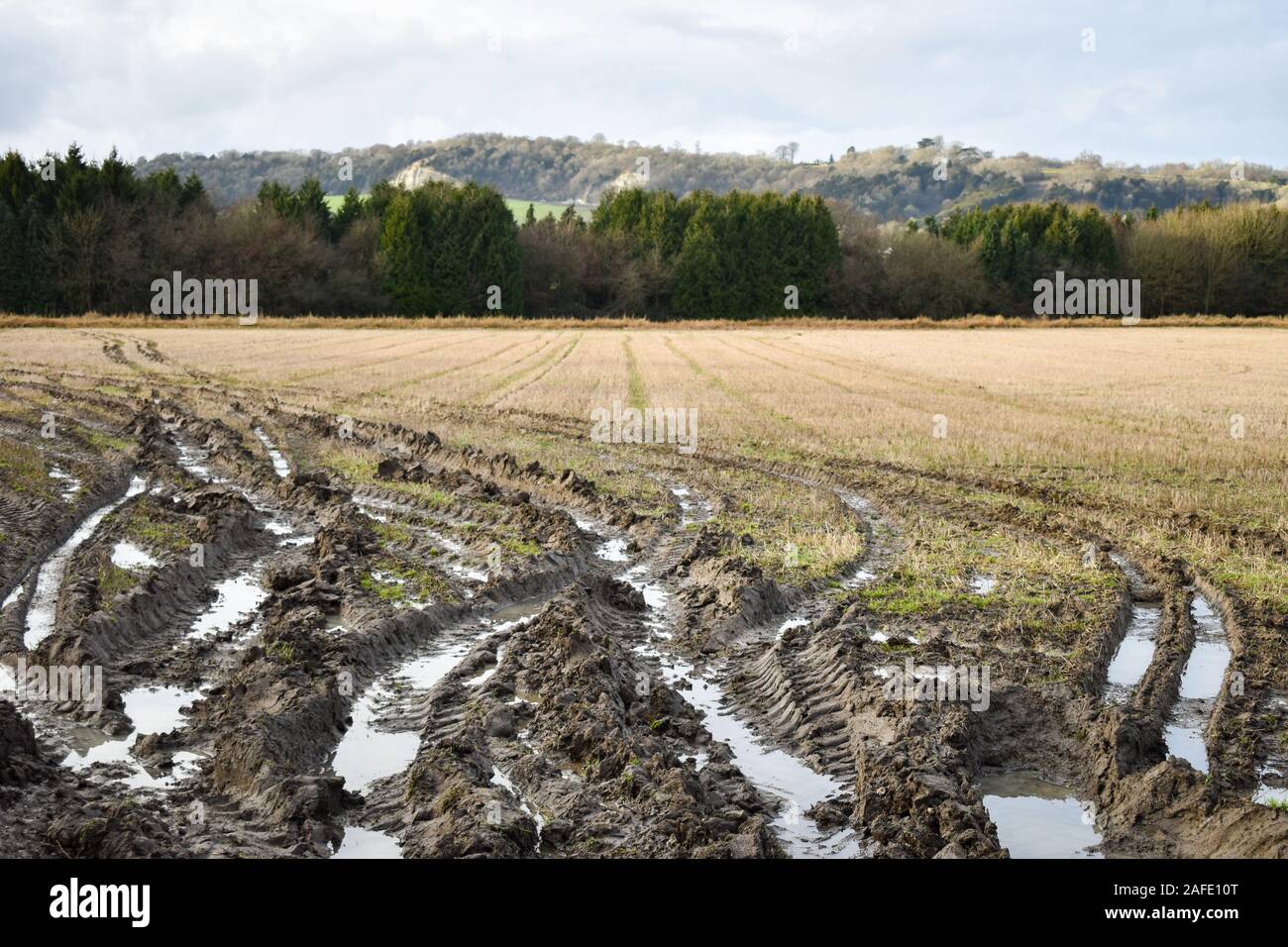 Traktor reifen Tracks in ein Feld in der Surrey, UK Landschaft an einem kalten Wintertag. Die tiefen schlammigen spurrillen sind mit Pfützen mit Wasser gefüllt. Stockfoto