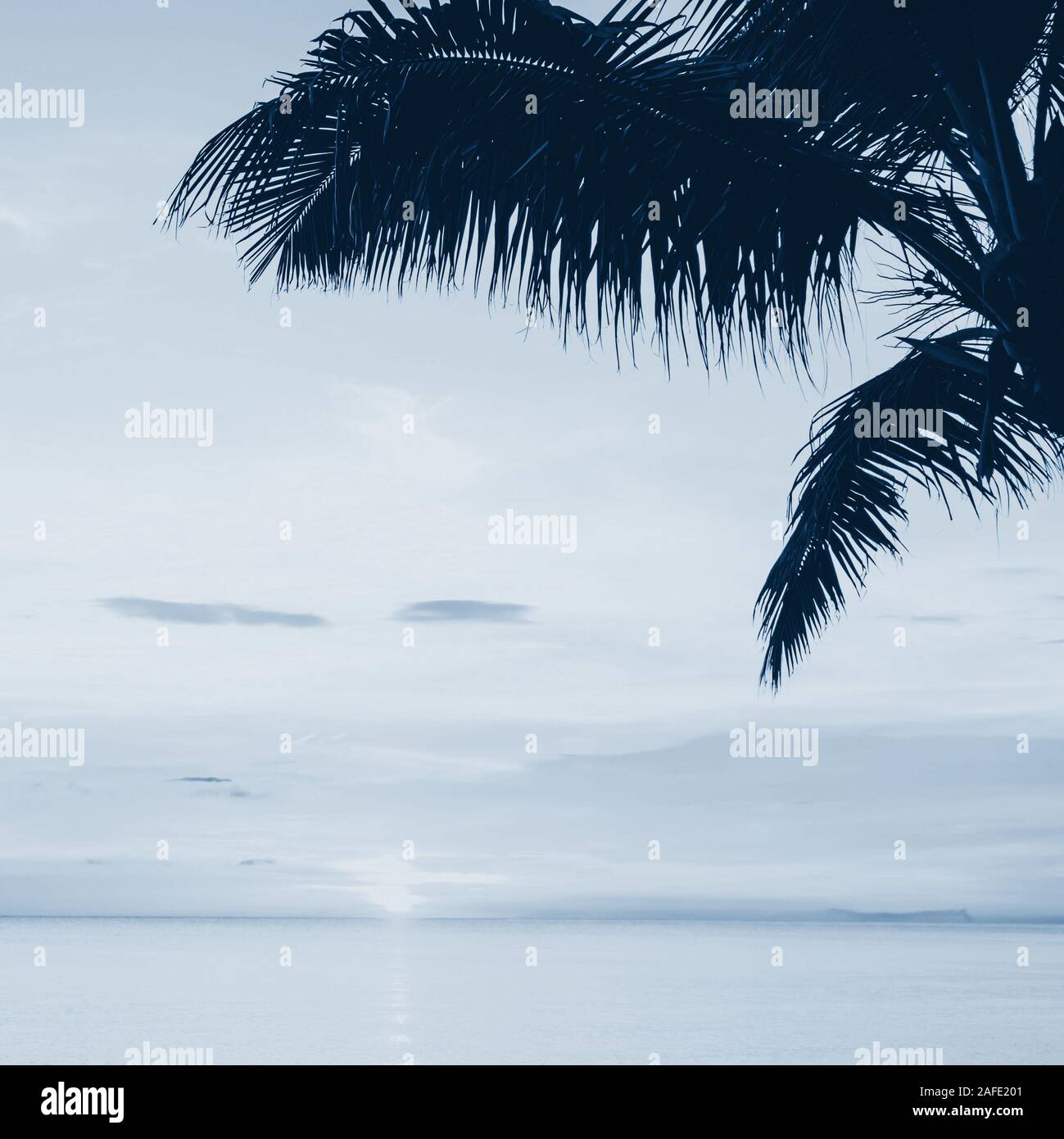 Sonnenuntergang und Palmen - Natur Hintergrund. Blau abstrakt Hintergrund. Farbe des Jahres 2020. Stockfoto