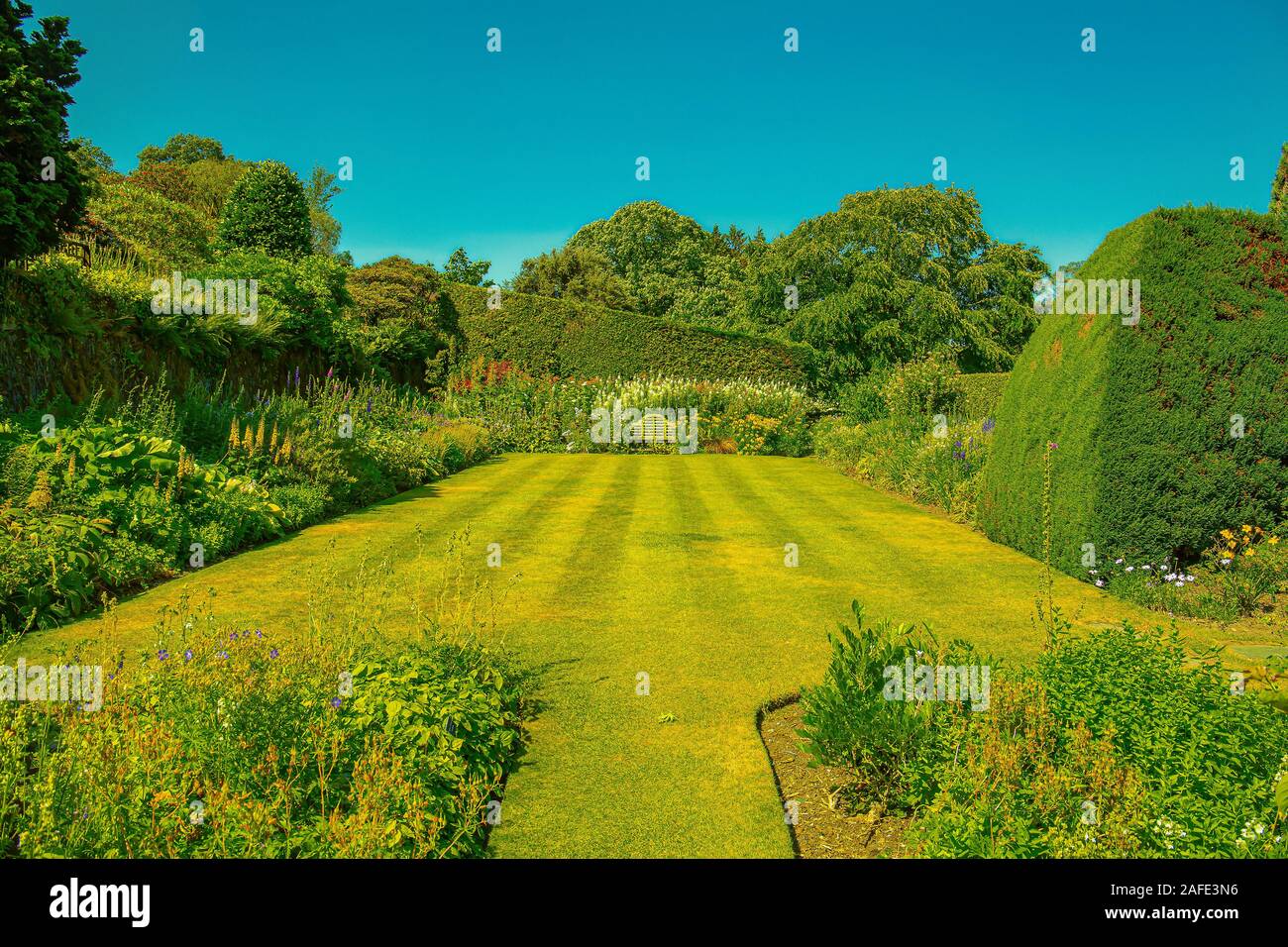 Blick auf den makellosen Rasen und Hedging, die Sie am Gartenhaus finden, buckland monachorum Stockfoto