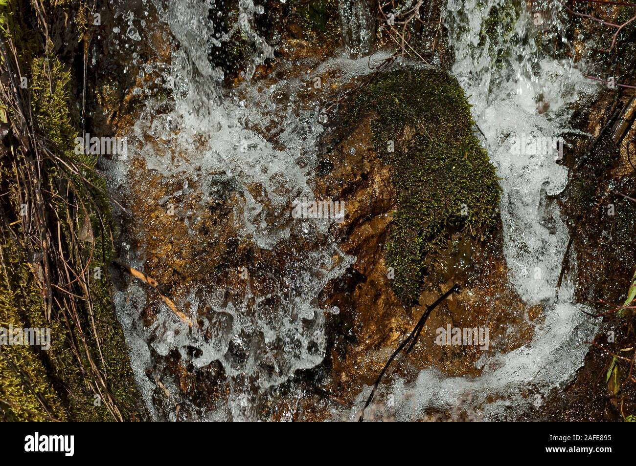 Hintergrund der natürlichen Moss, Eis, Wasser, Felsen und trockene Blätter in Vit Fluss, Stadt Teteven, Bulgarien Stockfoto