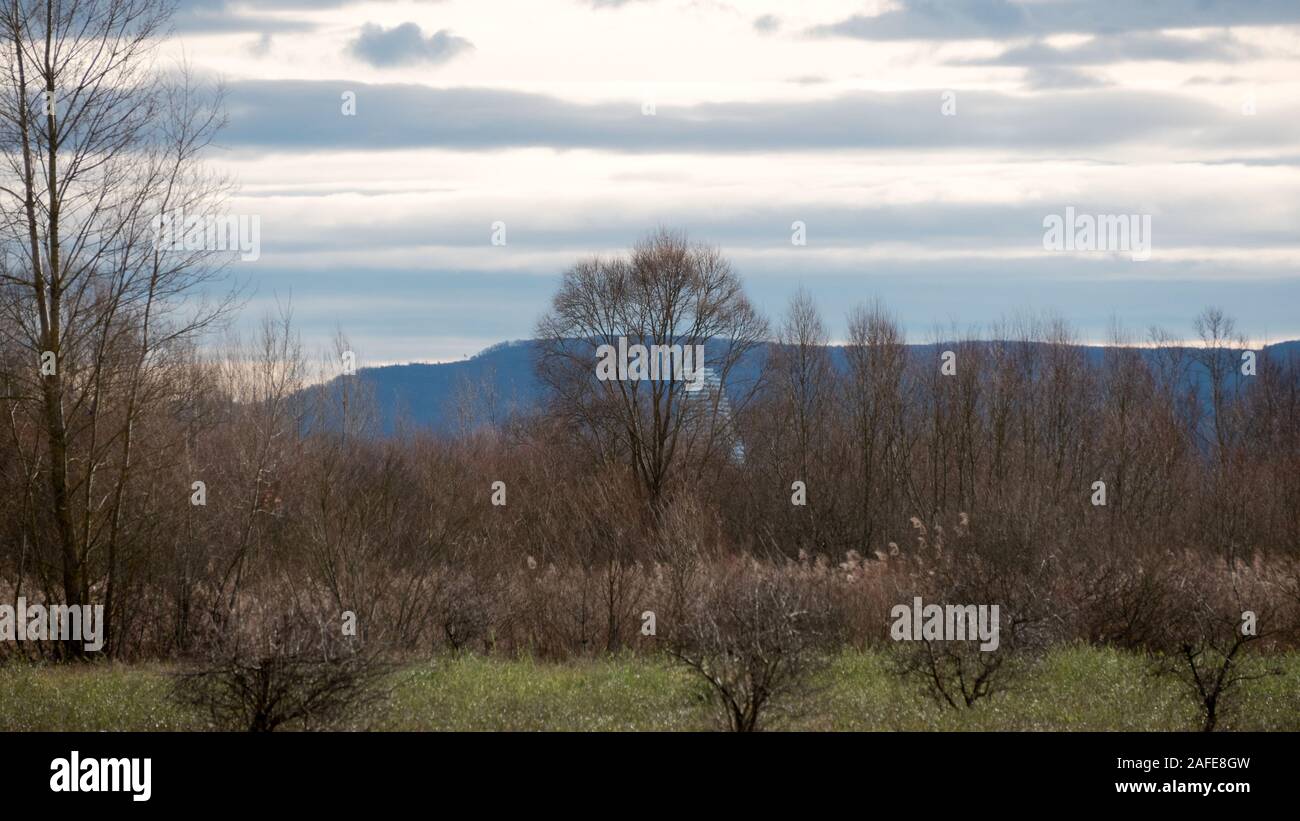 Herbstliche Stimmung in der Petite Camargue Alsacienne Stockfoto