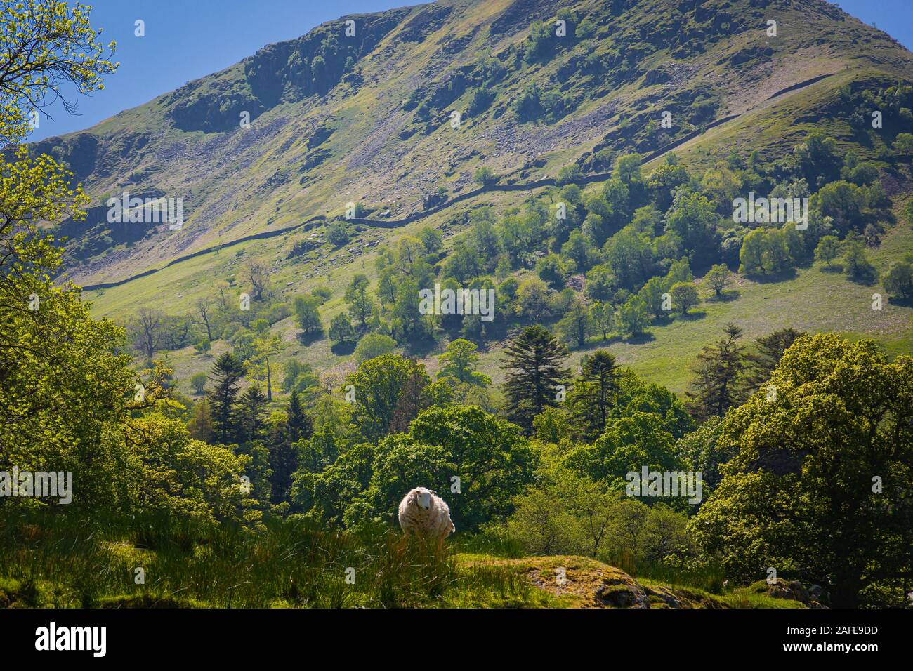 Ein Blick auf die Patterdale Gegend der Seenbezirk uk Stockfoto