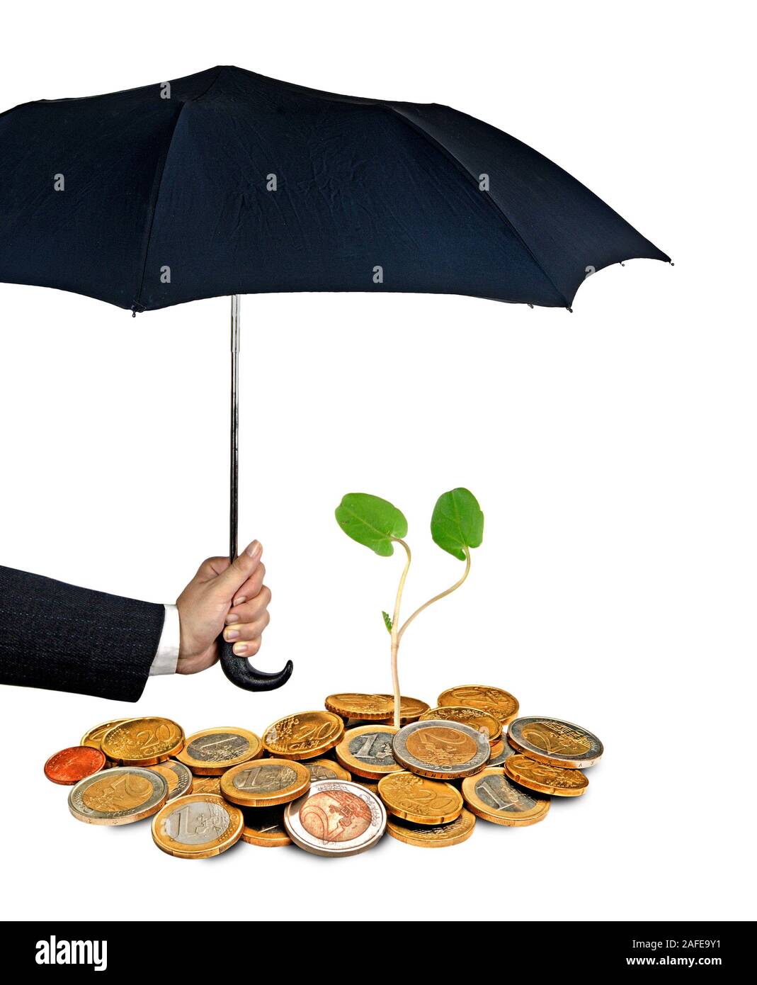 Schössling wächst von Münzen Stockfoto