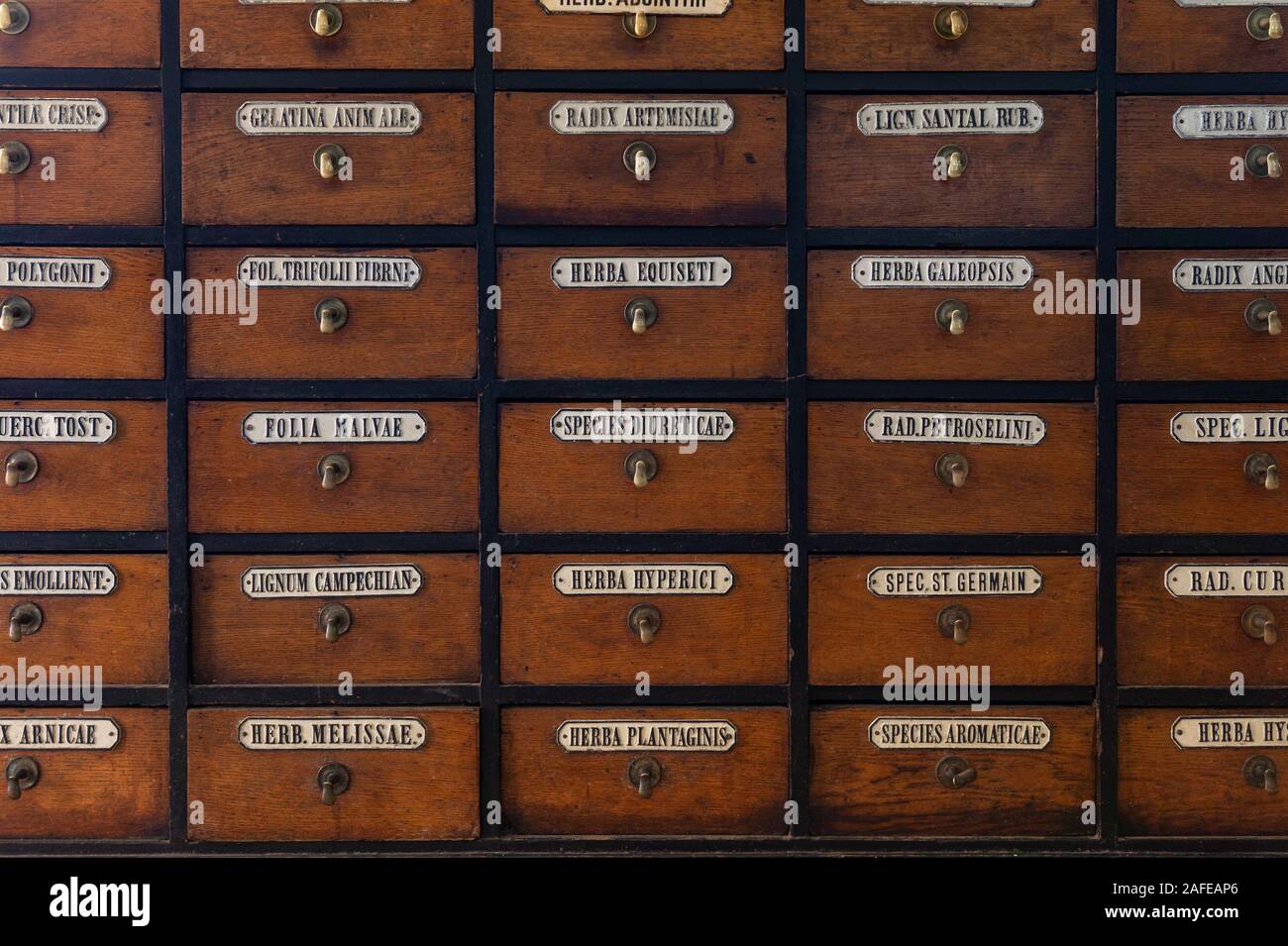 Brust von vielen Holzkisten mit lateinischen Inschriften die Namen der Medikamente in einer alten Apotheke Stockfoto