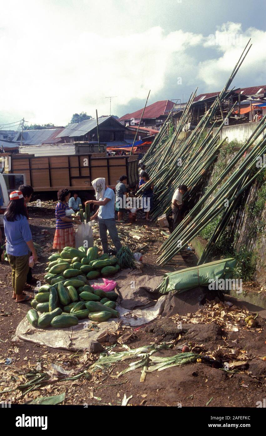 Markt im Dorf Tomohon in der Nähe von Manado, Nord Sulawesi. Hier Sie jede Art von Essen, einschließlich des Bambus und vedgetables wie wir sind siehe Stockfoto