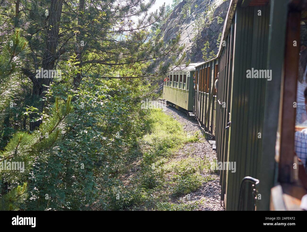 Blick aus einem Jahrgang Zug, während durch eine üppige Natur unterwegs - Shargan 8, Serbien Stockfoto