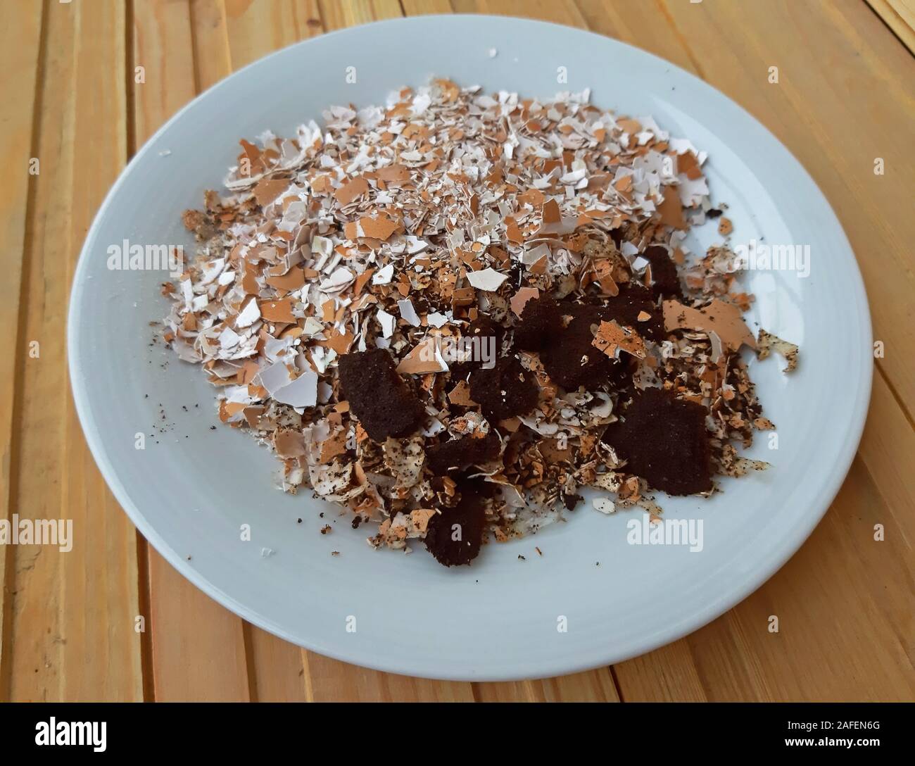 Eierschalen mit Kaffeesatz natürlicher Dünger Konzept Stockfoto