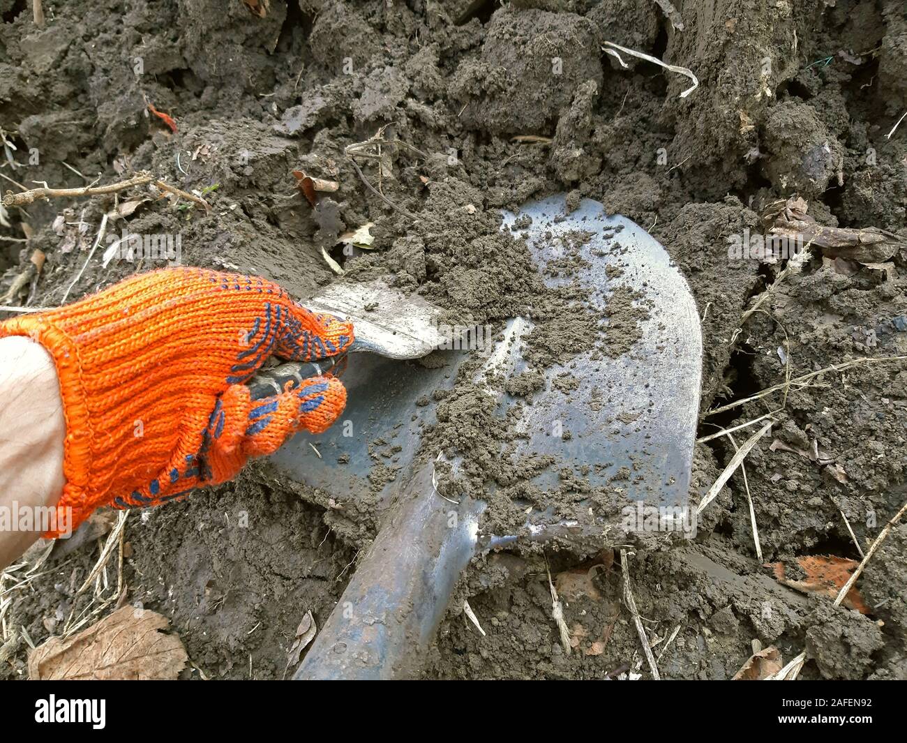 Hand Reinigung Spaten von Schlamm aus der Nähe Stockfoto