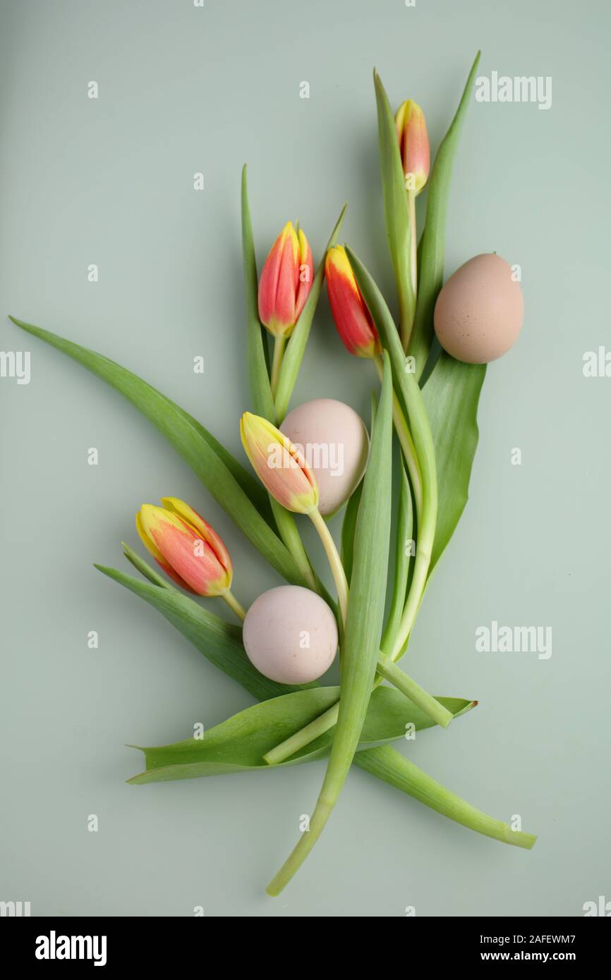 Grüne Ostern Hintergrund mit Eiern und Bündel Tulpen Stockfoto