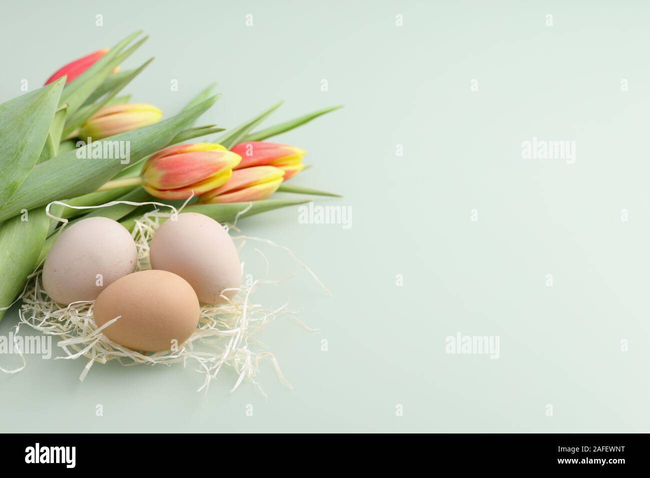 Grüne Ostern Hintergrund mit Eiern und Bündel Tulpen Stockfoto