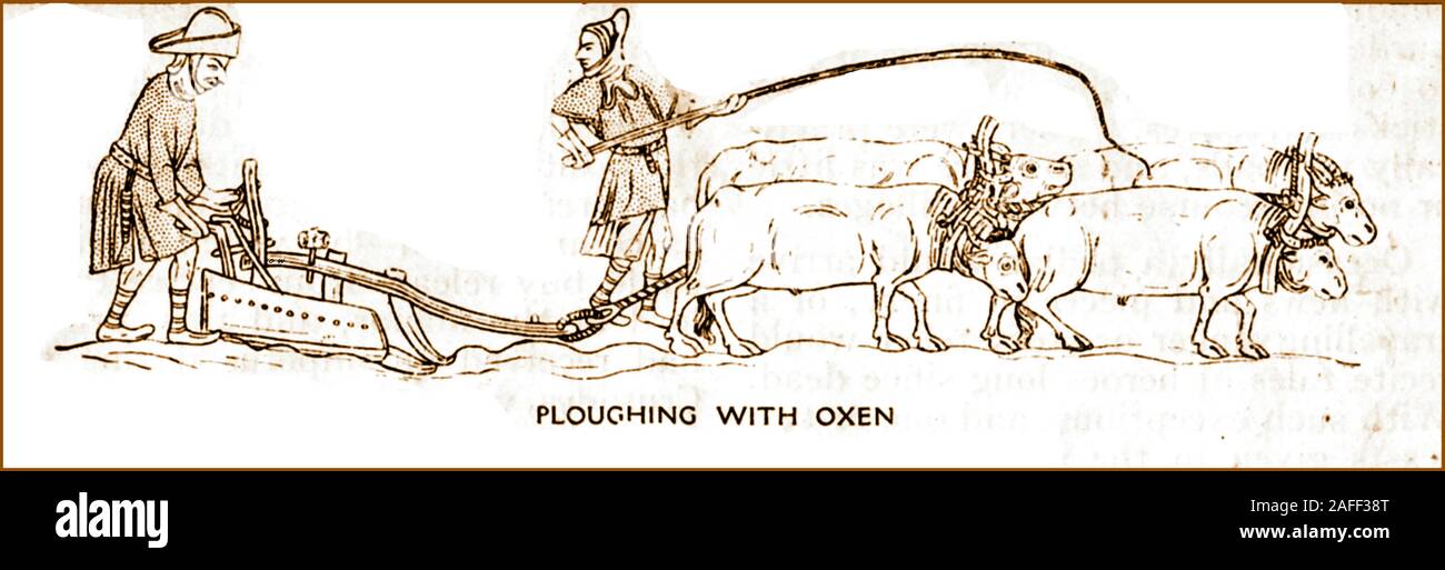 Ein 1921 Zeichnung aus einer mittelalterlichen Handschrift, die Landarbeiter Pflügen mit Ochsen genommen Stockfoto