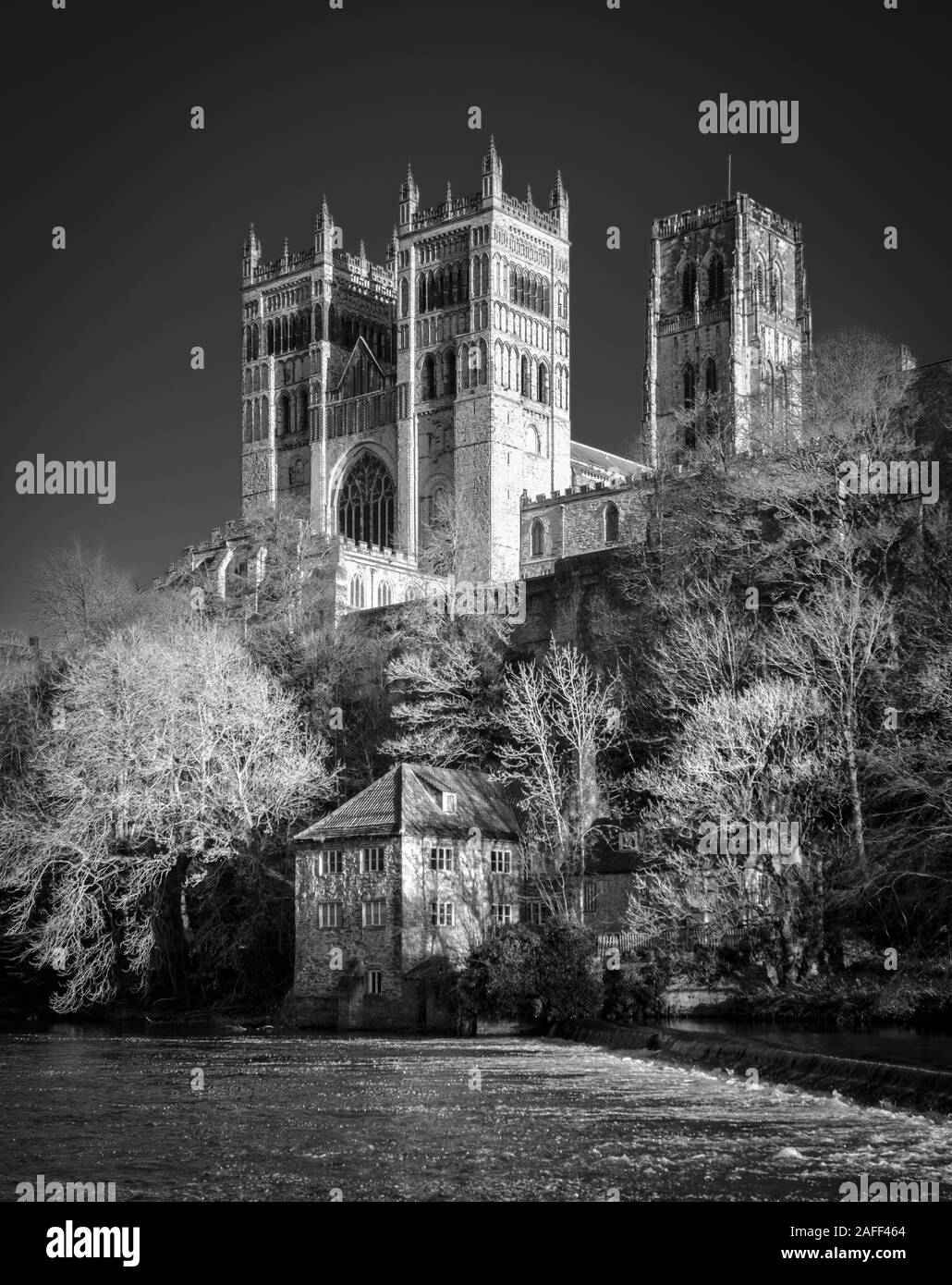 Durham Cathedral über dem Fluss Wear, County Durham, England Stockfoto