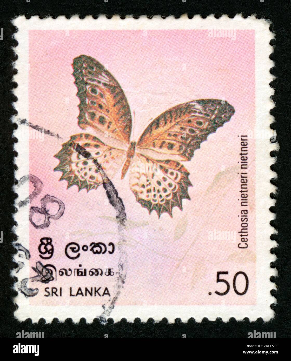 Stempel drucken in Sri Lanka, Schmetterlinge, Cethosia nietneri nietneri Stockfoto