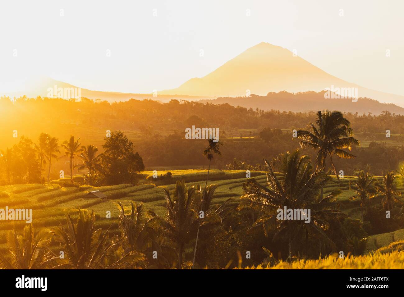 Erstaunlich warmen Orange Sonnenaufgang über berühmte Jatiluwih Reis Terrassen und Mount Agung Vulkan. Beliebte touristische Sehenswürdigkeiten auf Bali. Zu Bali Travel Concept herzlich Willkommen. Stockfoto