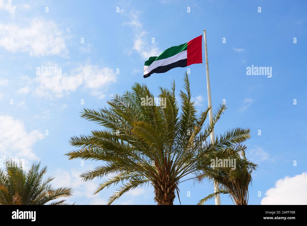 Die Flagge der Vereinigten Arabischen Emirate ist in der Nähe von Etihad Museum und Palm Tree Stockfoto