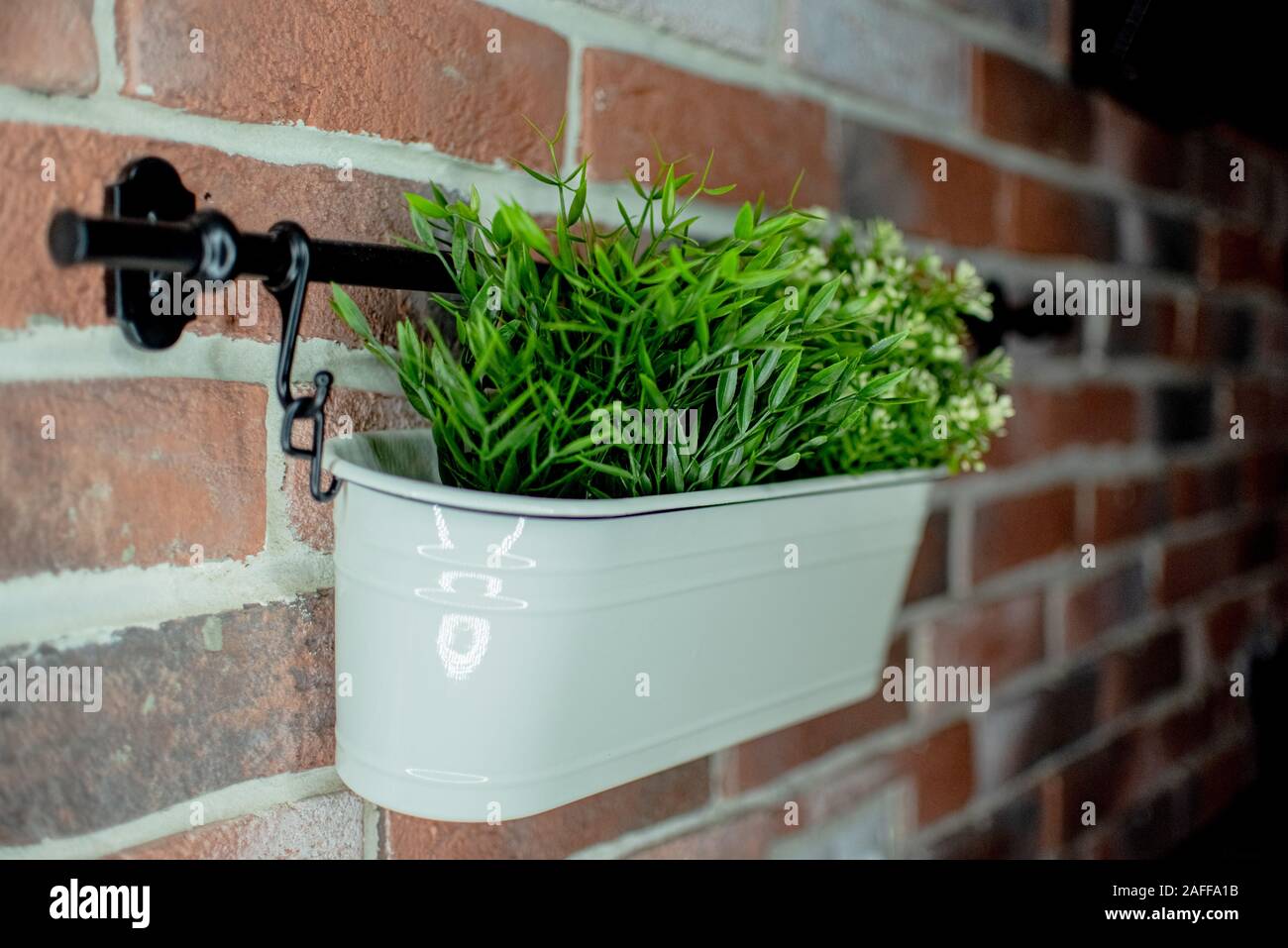 In einem keramischen Topf dekorative home Greens. In der Küche auf dem Herd Hintergrund. Kunstrasen. Innenraum der Landschaftsgestaltung. Stockfoto