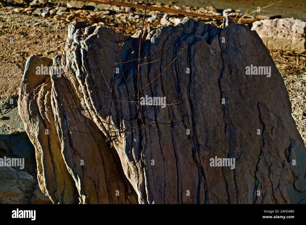 Shoreline immer noch Leben, See Mckinsey, Texas Panhandle. Stockfoto