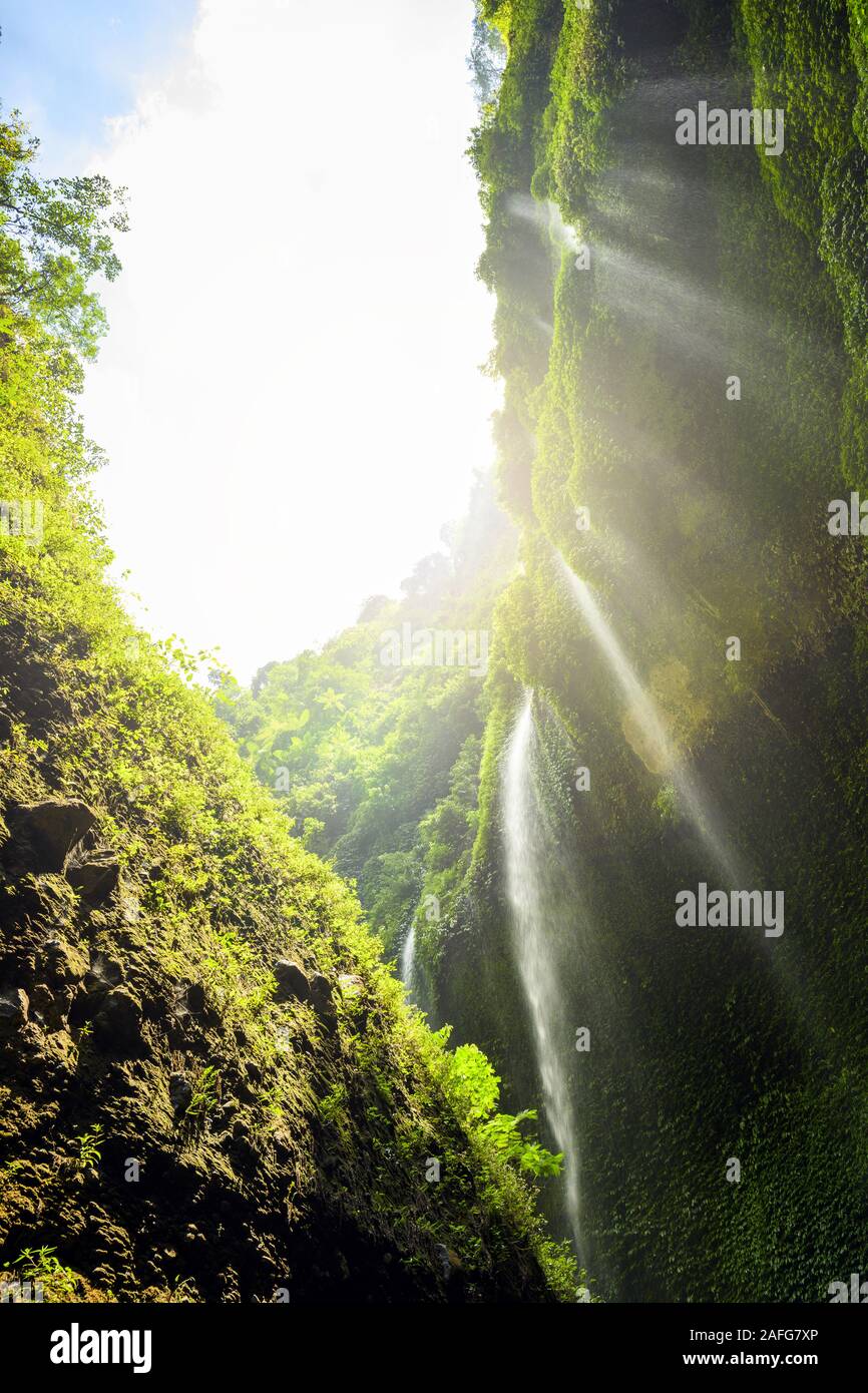 (Selektive Fokus) Blick von unten nach oben über den beeindruckenden Wasserfällen Madikaripura in Ostjava, Indonesien. Stockfoto