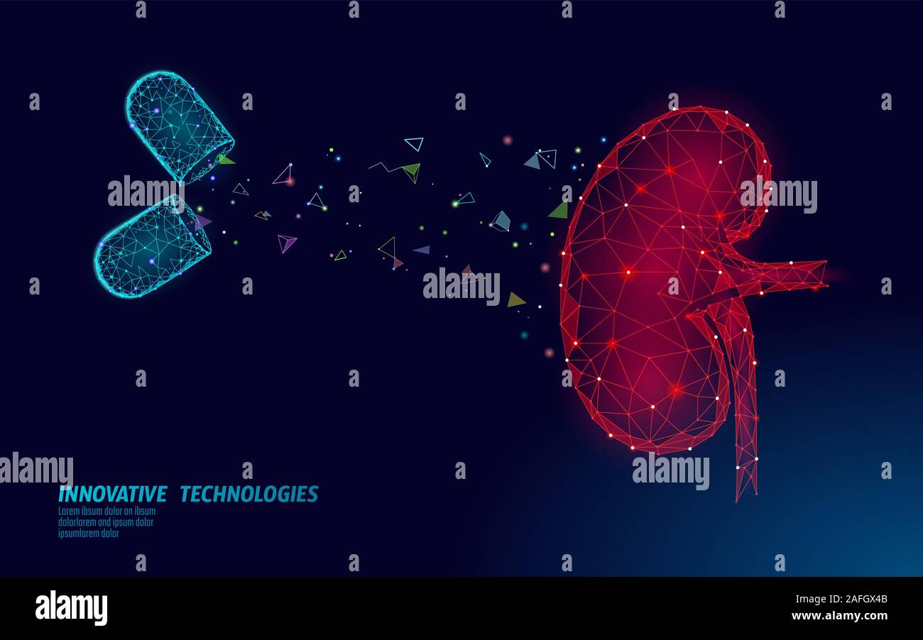 Menschlichen nieren Medizin Behandlung Konzept. Medizinische Hilfe die Therapie. Harnwege Krebs abdomen Prävention Plakat Vorlage. Apotheke Pille 3D Stock Vektor