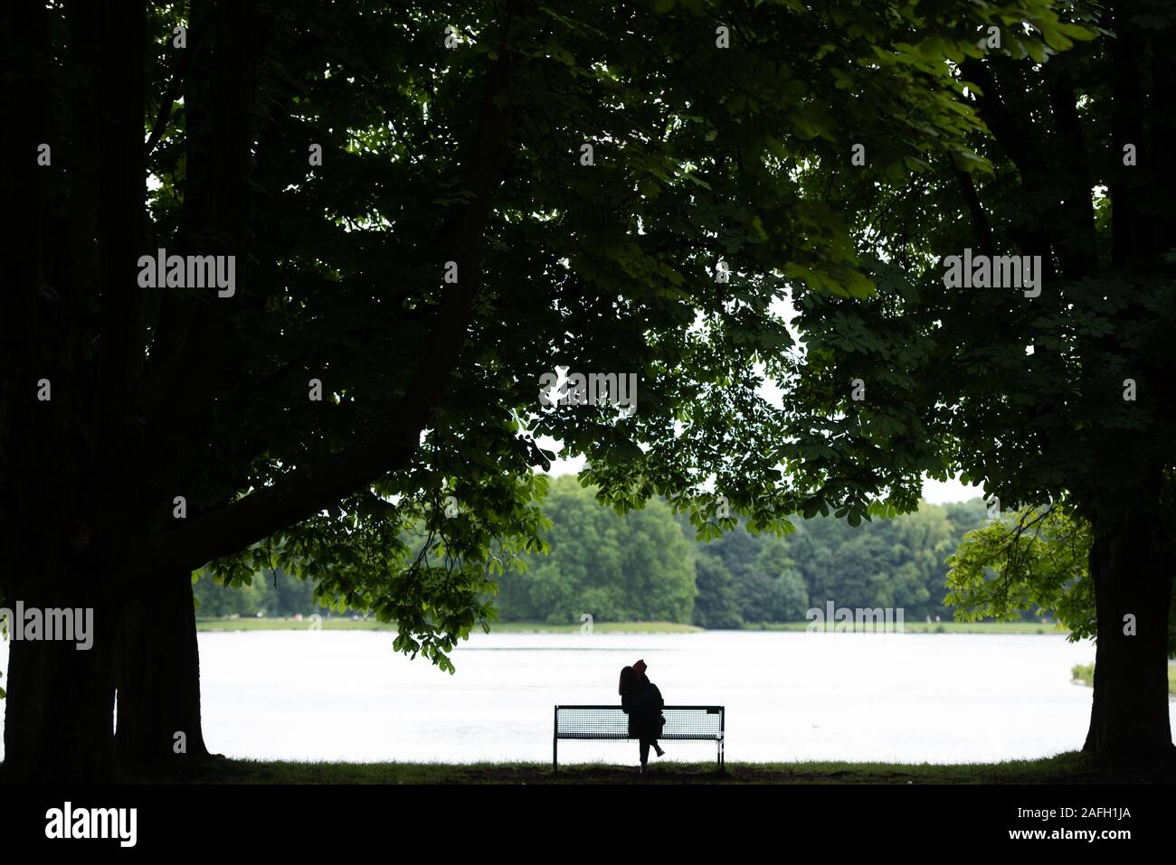 Person sitzt am See unter dem Schatten der schönen Alte Bäume in einem Park Stockfoto