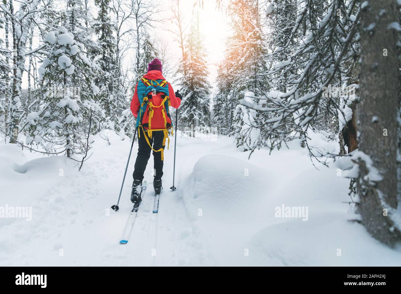 Skitouren - Frau mit Skiern auf einem verschneiten Winter Forest Trail. Yllas, Lappland, Finnland Stockfoto