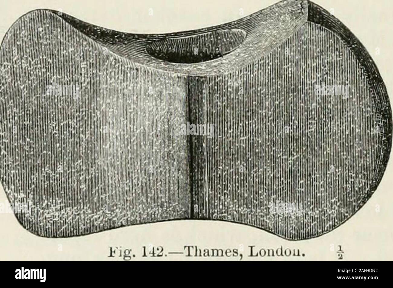 . Die alte steinerne Werkzeuge, Waffen und Schmuck, von Großbritannien. Abb. 141.- Upton Lovel. A. in der Wohnung in eine Richtung, eine halbrunde Sweep, die Beantwortung in der Form Schneide auf der anderen Seite die beiden Seiten mit aslight Nut verziert sind, erstreckt sich parallel zur Mitte der Welle mit der Bohrung. Das Material, aus dem dieses Ax-Hammer ist offenbar zur beserpentine. Es wurde in der Themse in London gefunden, und ist in der BritishMuseum. Die sehr ordentlich gebildet Instrument in Abb. dargestellt. 143 scheint* ArehcEol. Journ., Bd. xviii, S. 168. Arch. Assoc. Journ., Bd. xvi. S. 2 Stockfoto