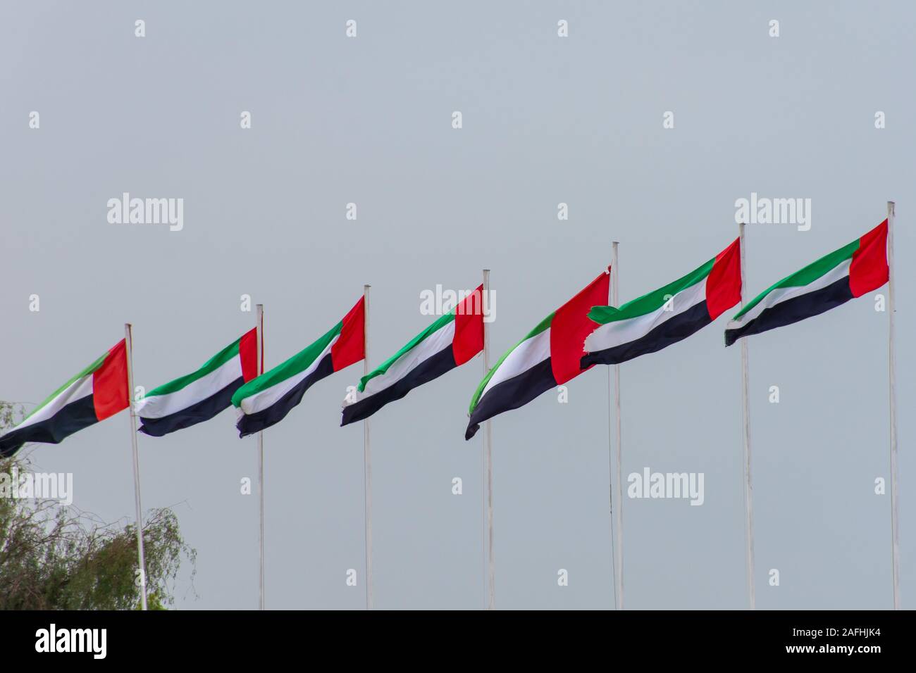 Eine Reihe der Vereinigten Arabischen Emirate (VAE) Flags aufgereiht und in den Wind. Stockfoto