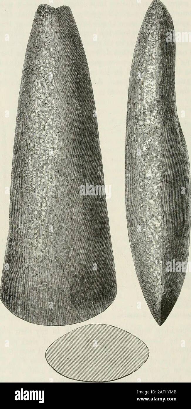 . Die alte steinerne Werkzeuge, Waffen und Schmuck, von Großbritannien. s Der dunklen Greenstone, und infolge eines Mangels der Stein von dem es gemacht wurde, gibt Es ahollow Ort in einem der Gesichter. Oberst A. Lane Fox, F. S.A., hat Liquidar aber mehr symmetrische celt, aus dem gleichen Material, auch gefunden in der Themse. Ein kleinerer, aus der gleichen Quelle, ist im BritishMuseum; der andere ist in der Sammlung von Pfr. T. Hugo, F. S.A.* Große Arbeitsgeräte sind nicht unüblich inScotland und in der Shetland Inseln. Es gibt einige in der AntiquarianiVluseum in Edinb Stockfoto