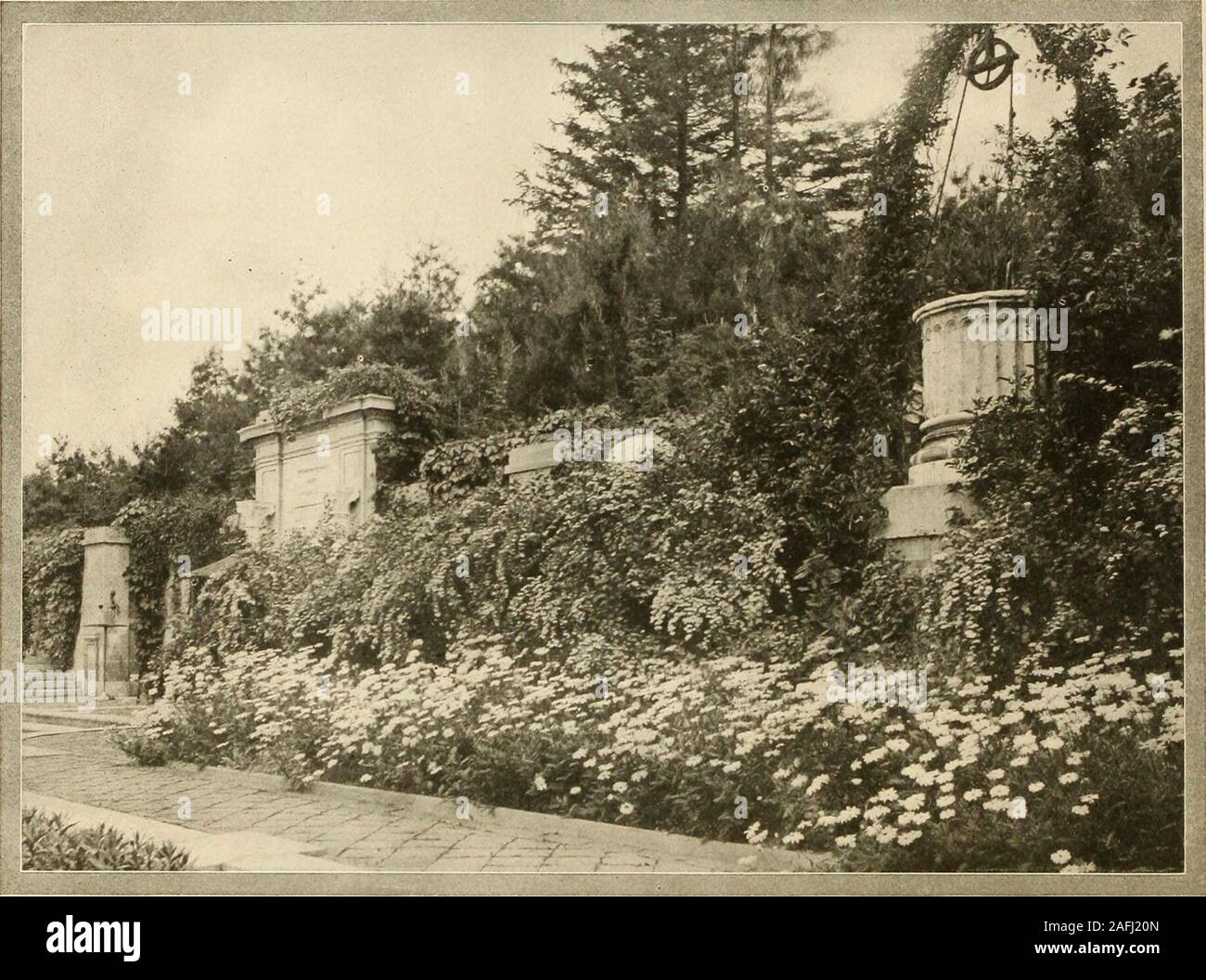 Veronica Orientalis Stockfotos Und Bilder Kaufen Alamy Create a life you don't have to escape from ❤️. alamy