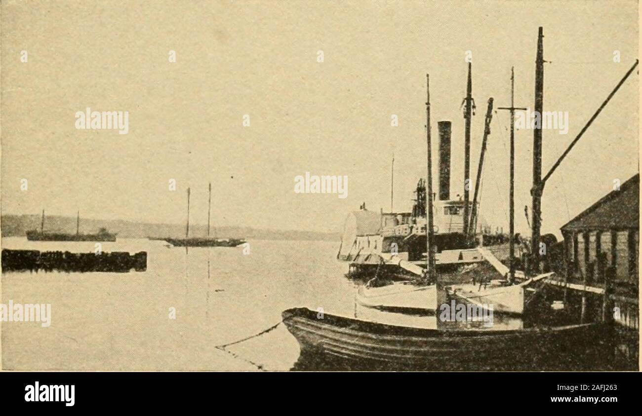 . New England; ein menschliches Interesse geografische Reader. t countrythe überlebenden Mitglieder des Stammes an der ruinsof Ihrer Festung gesammelt und kreischte und zerrissen ihre Haare. Am nächsten Tag eine Rat getroffen und beschlossen, itwas impossi]) Le für sie die Macht der thestrangers zu widerstehen, und sie schlossen ihre nur recoursewas auf alle über dem Hudson auswandern. Sie verbrannten ihre Dörfer und Verbrauchsmaterial, Connecticut Anfänge 71 und auf diese verzweifelte Venture. Einige soonturned zurück, sondern wurden später alle getötet oder gefangen genommen bywhites und freundliche Indianer. Der Hauptteil der thetribe, afte Stockfoto