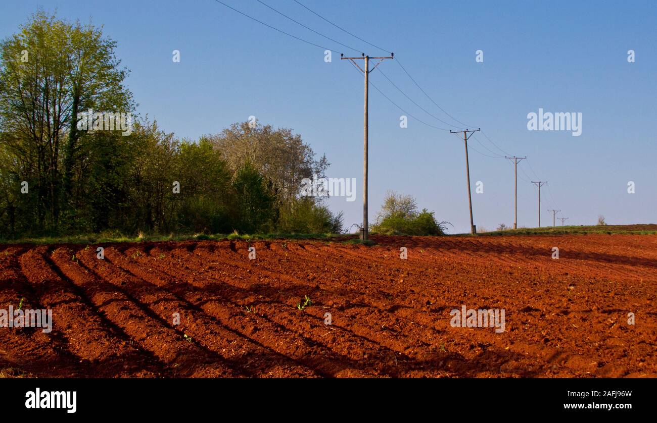 Anbauflächen für die Aussaat, Teočin, Serbien bereit Stockfoto