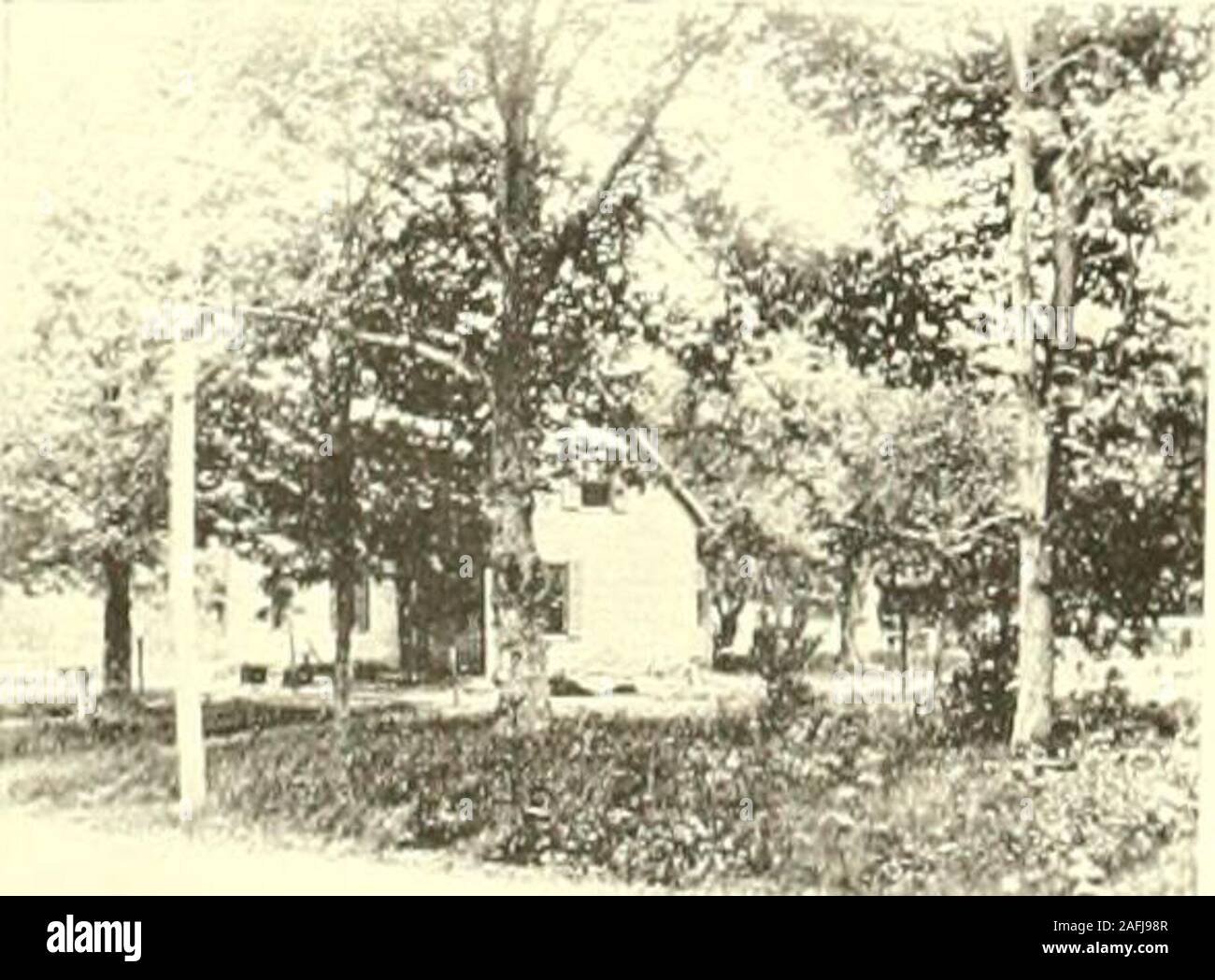 . Farmington, Connecticut, das Dorf von schönen Häusern. ;;;;;;;; S?^-: -3 Ich! Ich; siiii: (i: oi-, iii, i, i-in: Ich!S (). Jl?^^^ ich £ (-. d^^. i&gt;. Ich; i; sii&gt; i: (i:&lt; ii-Mits. saraii hauhy.. Stockfoto